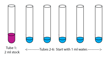 Protein 2024 concentration converter